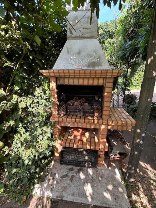 A Tintureira São Martinho de Antas Exterior foto